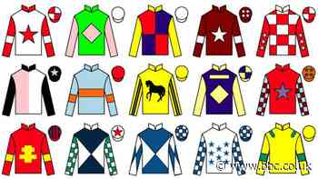 Grand National 2023: Pinstickers' guide to Aintree runners and riders