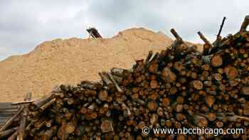 Michigan Paper Mill Worker Dies From Fungal Infection