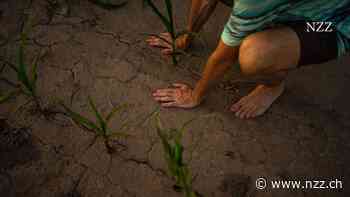 Milliarden gegen den Klimawandel und die Armut: Die Weltbank sucht nach Geld und einer neuen Rolle