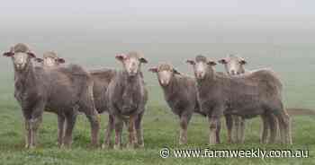 WAMMCO tackles industry uncertainty