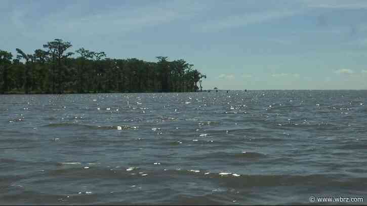 Lawmaker's proposal would halt carbon capture project at Lake Maurepas