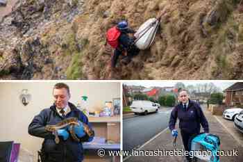 RSPCA looking for 11 new animal rescue officers for Lancashire sites