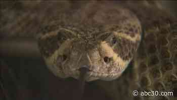 Officials warn of outdoor hazards as temperatures heat up in Valley