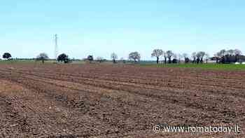 Rocca dice "stop" ai pannelli solari ma a Tarquinia ne verranno installati più di 4000
