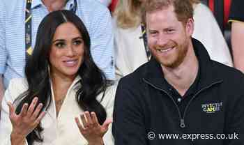 Meghan and Harry attending Coronation more likely to be backed by Remainers, poll finds