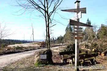 Die Egge: das mögliche Nationalparkgebiet im Wandel der Zeit