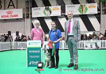 Wirral owner wins at Crufts with border collie Maisie
