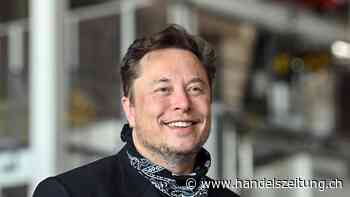 Musk gründet Firma für künstliche Intelligenz