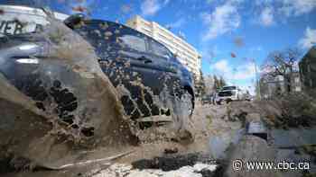 Why can't Winnipeg get rid of its pothole problem? It can't afford to fix its roads, experts say