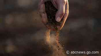 As Earth warms, more 'flash droughts' suck soil, plants dry