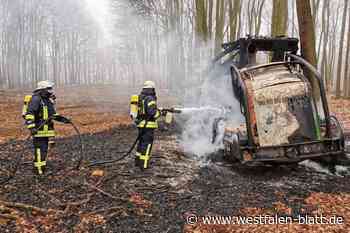 Stemweder Berg: erneut Feuer aus ungeklärter Ursache
