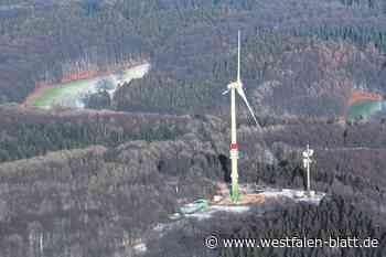 Haller sollen an Windpark im Teutoburger Wald beteiligt werden