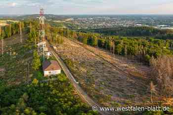 Nicht reflexartig Nein sagen