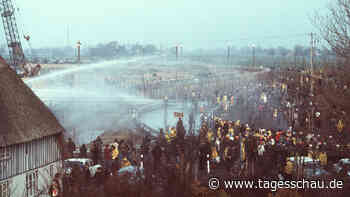 Anti-AKW-Bewegung: "Eine gewisse Genugtuung"