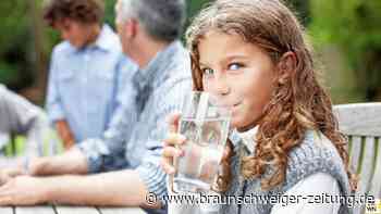 Wassersprudler im Test: Bequem und günstig zur Erfrischung