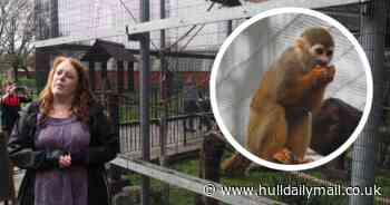 Behind the scenes with East Park's new monkeys