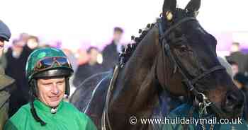 Second horse dies at Grand National as Dark Raven falls