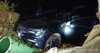 Dashcam caught moment drink driver crashed into hedge after hitting pedestrians