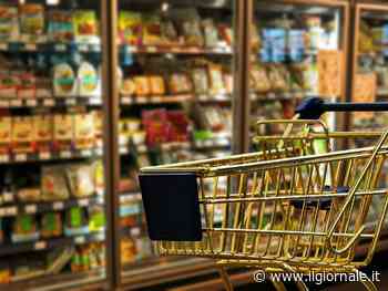 Istat, inflazione in graduale decelerazione. Resta elevata incertezza