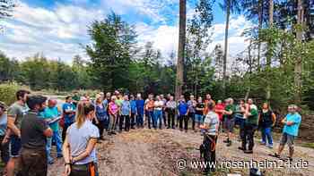 Angst vor „EU-Brennholzverbot“: Traunsteins Waldbesitzer steigen auf die Barrikaden
