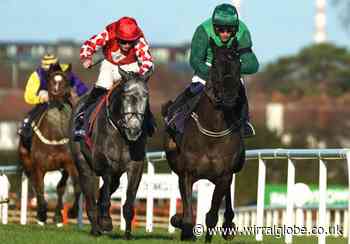 Grand National 2023: Dark Raven dies after fatal fall and injury