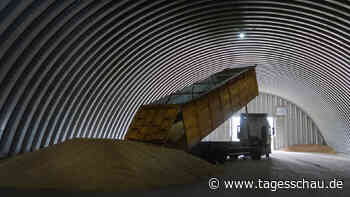 Liveblog: ++ Polen stoppt Import ukrainischen Getreides ++