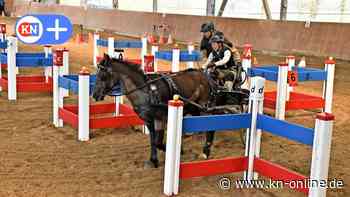 Fahrturnier in Futterkamp: So kommen große Pferde durch enge Gassen 
