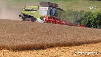 Polen verbietet Getreideimporte aus der Ukraine