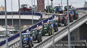 Ukrainisches Getreide: Warum Polens Bauern protestieren