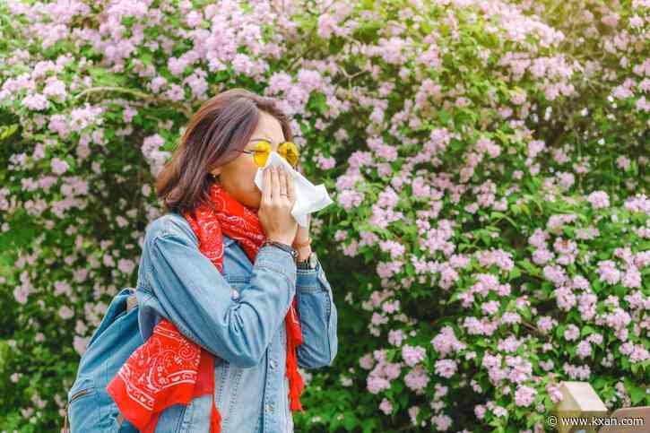 Study: These cities are the allergy capitals of America, 2 Texas cities make list