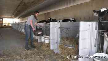 'It's a dying thing for the kids to take over': Report points to looming farmer shortage as many retire