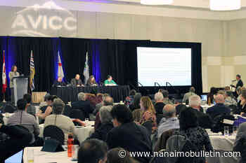 Island’s elected officials vote against resolution to protect all of B.C.’s old-growth forests