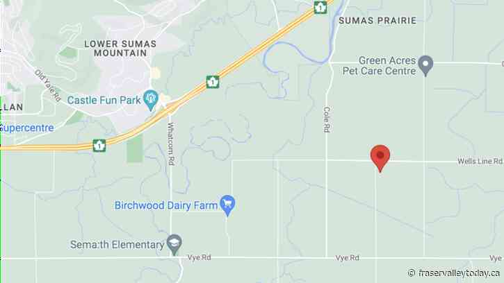 Abbotsford Police investigate home invasion at marijuana grow op in Sumas Prairie