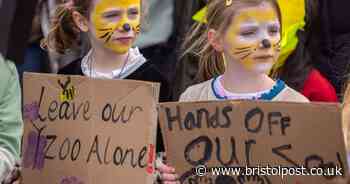 The seven options for Bristol Zoo as decision day looms