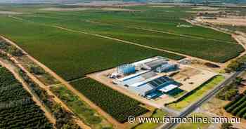 Big Riverland wine business goes on the market
