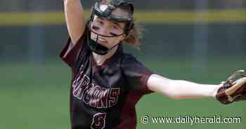 Softball: Dundee-Crown responds, tops Larkin for Slugfest title