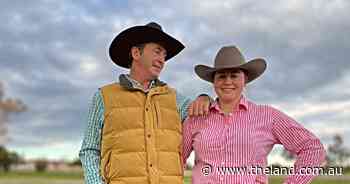 'She's got the little mongrel in her': McCulloch inspired by his daughter