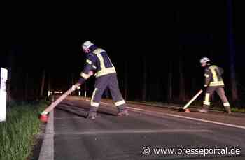 FW Celle: Arbeitsintensive Nacht für die Feuerwehr Westercelle!