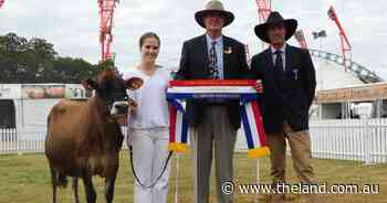 Lightning Ridge MB Bontino Rosario wins all breeds youth competition