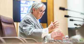 Voice could tackle 'FIFO bureaucrats'