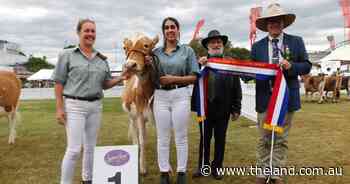 Grace Springs Latimer McKenna named champion junior Guernsey