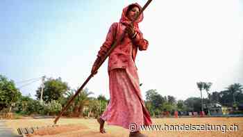 Mehr Land für Frauen reduziert den Hunger