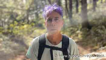 Tour news: John Vanderslice, Los Bitchos, Jo Firestone, Rozwell Kid, more