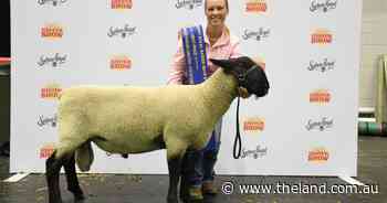 Taralga Suffolk breeder takes out young sheep handlers, alongside St Gregory's student