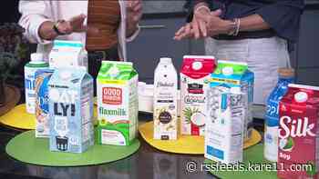 Are plant-based milk options worth trying?