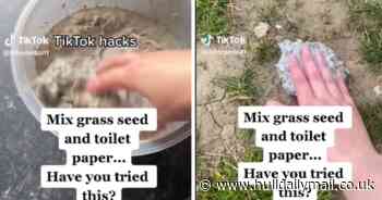 Keen gardener shares 'hack' to revive a patchy lawn using everyday item