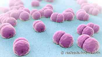 Here's what meningitis is and how to protect yourself