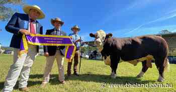 "You don't get a bull like this every day": Kemp describes win at Wauchope Show