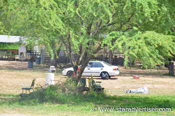 2 killed in shooting after Maili cockfight