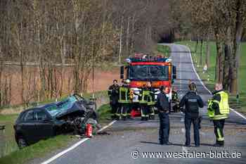 Auto kracht gegen Baum: Fahrer aus Steinheim tot